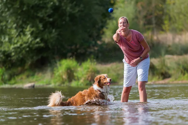 Frau spielt mit Hund im Wasser — Stockfoto