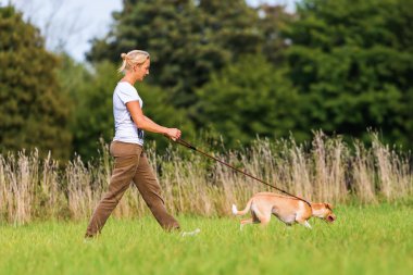 a köpek ile kadın yürüyor