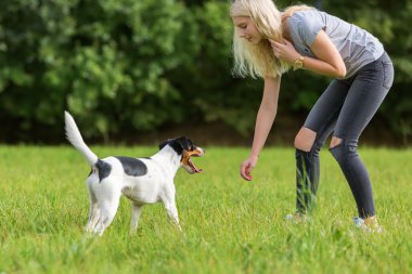 genç kız bir köpekle oynar