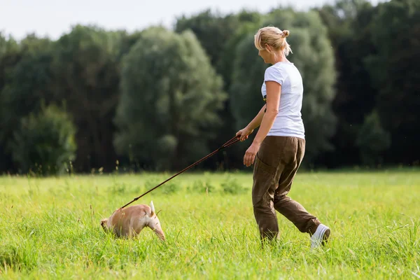 Femme avec un chien en laisse — Photo