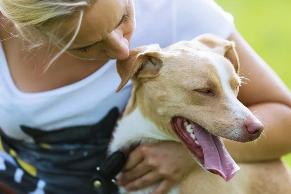 Portrait d'un chien dans les bras d'une femme — Photo