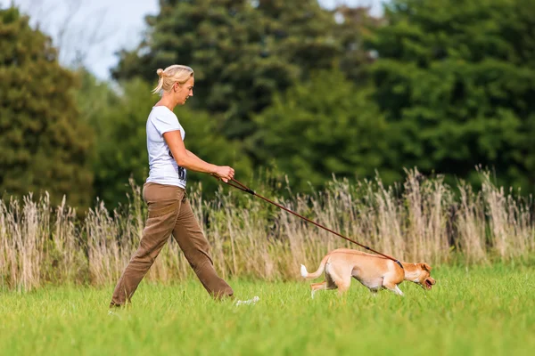 Femme promenades avec un chien — Photo