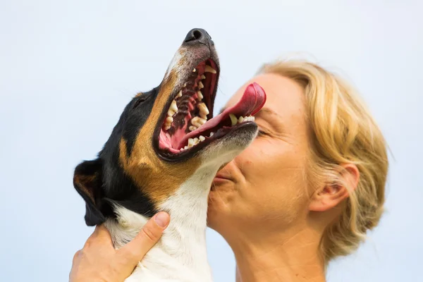 Hund porträtt med kvinna — Stockfoto