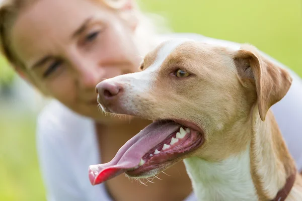 Porträtt av en hund med en kvinna — Stockfoto