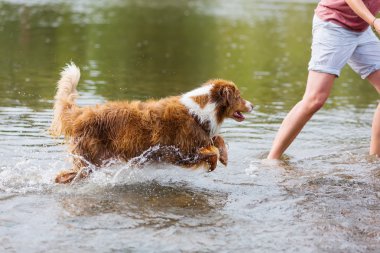 kadın ile köpek su koşuyor