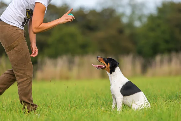 Femme jouant au ballon avec un chien — Photo