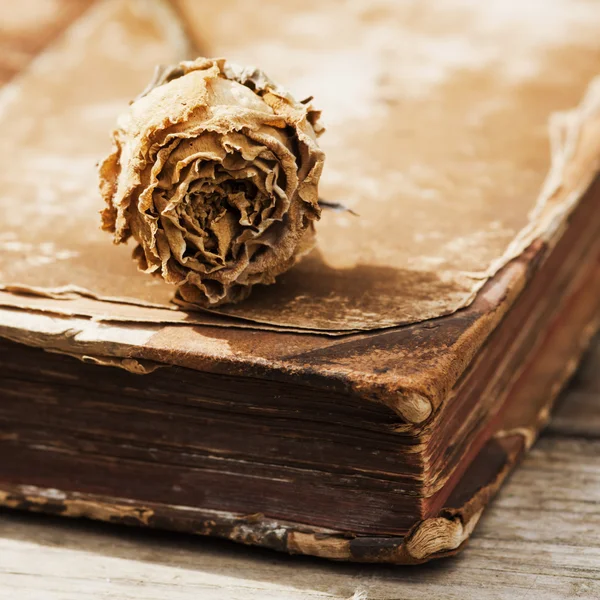 Verdorde rose op een oud boek — Stockfoto