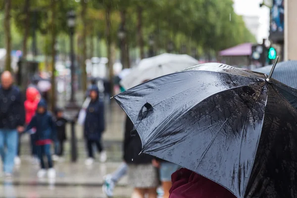 paraguas fotos de stock, imágenes de Lluvia paraguas sin royalties