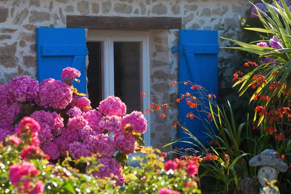 Detail van een schilderachtige huisje in Bretagne, Frankrijk — Stockfoto