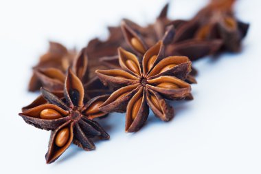 beyaz arkaplanda yıldız anason 'u