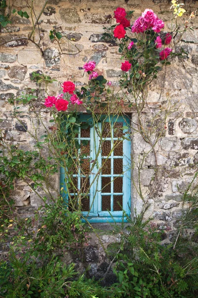 Pitoresca de rosas casa de campo coberto na Bretanha, França — Fotografia de Stock