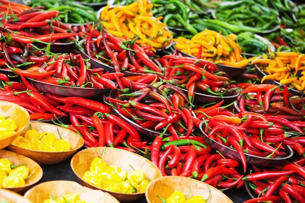 Colorful peppers on a market display — Stock Photo, Image