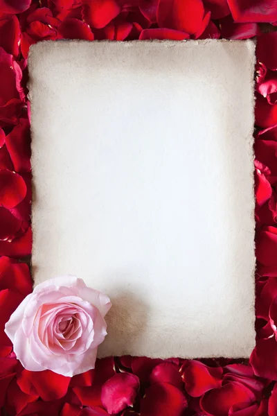 Antique style sheet of paper on a ground of red rose petals — Stock Photo, Image