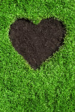 Kalp şeklinde toprak yeşil çim