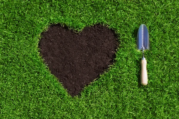 Forme de coeur du sol dans une pelouse verte — Photo