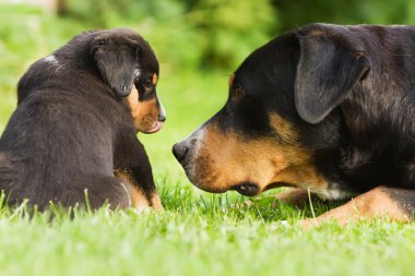Anne ve çocuk arasındaki iletişimi