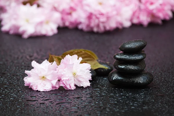 Zen stapel stenen met cherry blossoms — Stockfoto