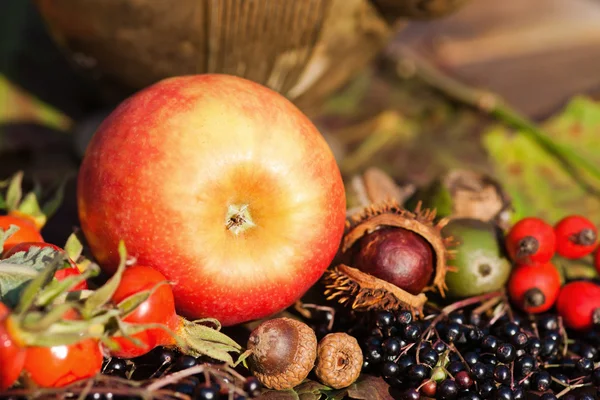 Frutas de otoño —  Fotos de Stock