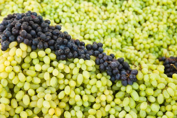 Abeto de uvas brancas e azuis em uma banca de mercado — Fotografia de Stock