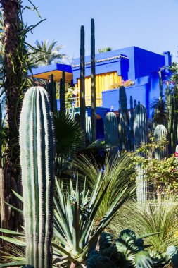 Majorelle Bahçe Marrakesh, morocco