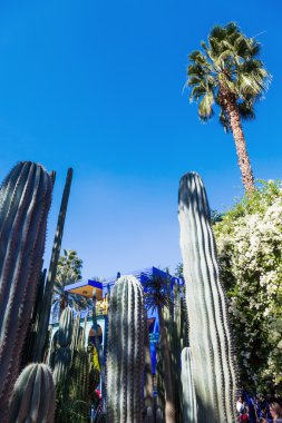 Majorelle Bahçe Marrakesh, morocco