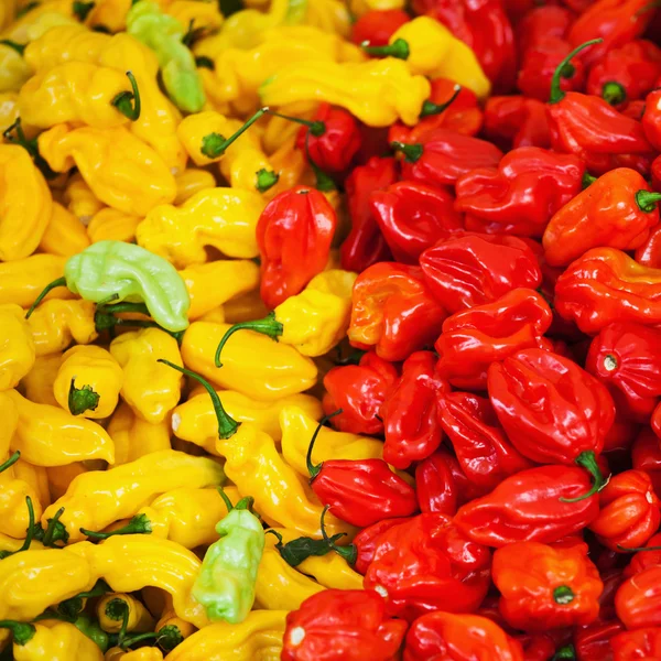 Pimentos amarelos e vermelhos — Fotografia de Stock