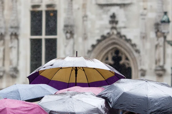 Umbrellas of a crowd of tourists while it is heavy raining — Stock Photo, Image