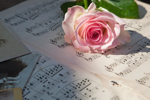 ピンクのバラとアンティーク楽譜 — ストック写真