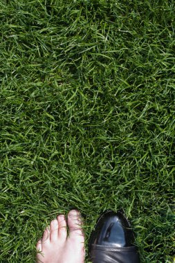 Ayakkabı ve ayakkabı değil