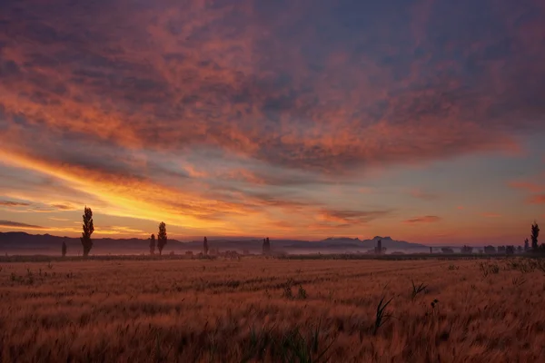 Paisagem antes do pôr do sol na Provença com os Alpilles no fundo distante — Fotografia de Stock