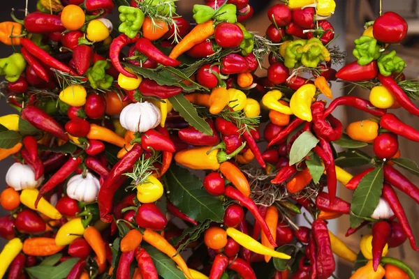 Ristras with chili peppers, garlic and other spices — Stock Photo, Image