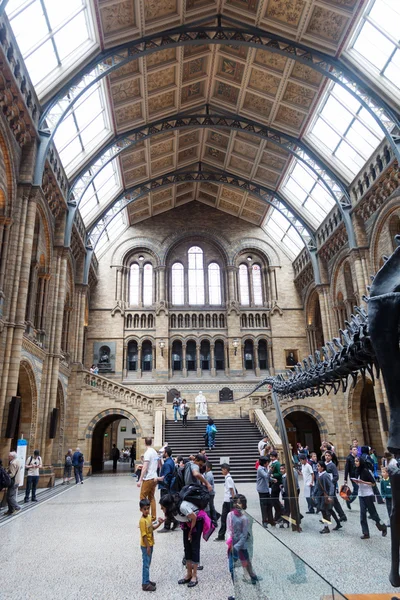 Музей естественной истории в Южном Кенсингтоне, Лондон, Великобритания — стоковое фото