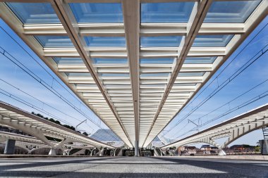 Guillemins istasyonu Liege, Belçika