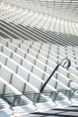 Guillemins istasyonu Liege, Belçika
