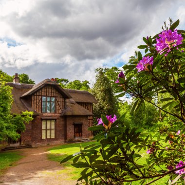 Kew, İngiltere'de Kraliyet Botanik Bahçesi