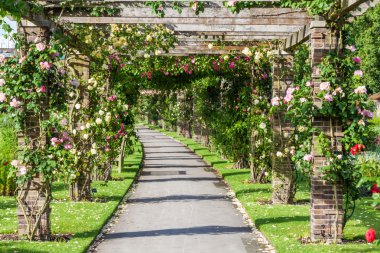 Gül pergola yılında Kraliyet Botanik Bahçesi Kew, İngiltere'de