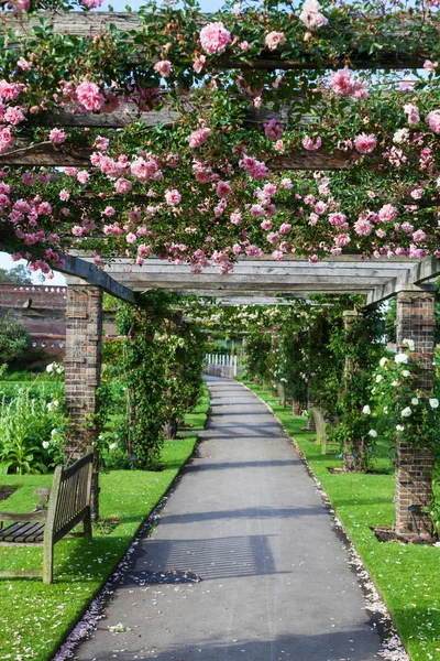 Pérgola rosa no Jardim Botânico Real em Kew, Inglaterra — Fotografia de Stock