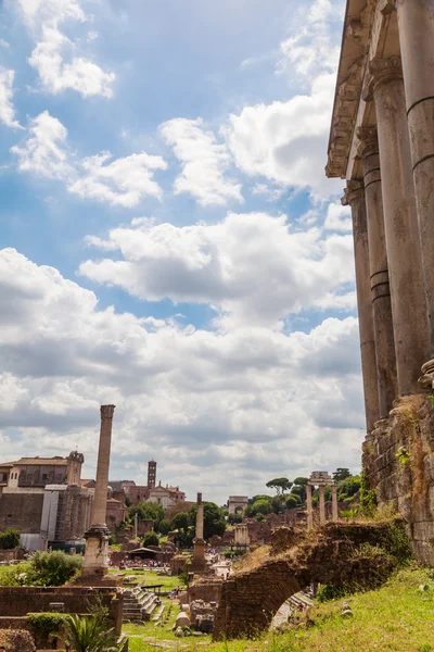 Op het Forum Romanum in Rome, Italië — Stockfoto