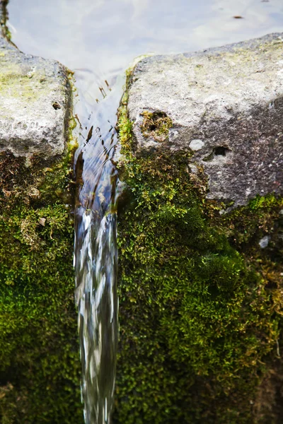 Water pouring out of an old moss covered stone trough — Stock Image Water pouring out of an old moss covered stone trough Royalty Free Stock Images