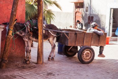 Bir eşek arabası bir işçi Medine Marakeş, Fas ile tipik sahne