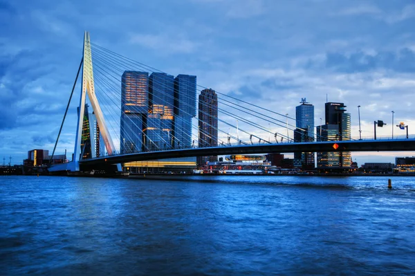 Famoso puente Erasmus sobre el Nuevo Mosa en Rotterdam, Países Bajos — Foto de Stock