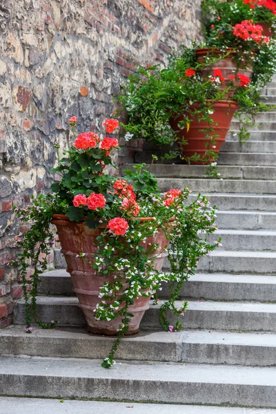 Dekorativa blomkrukor på trappan — Stockfoto