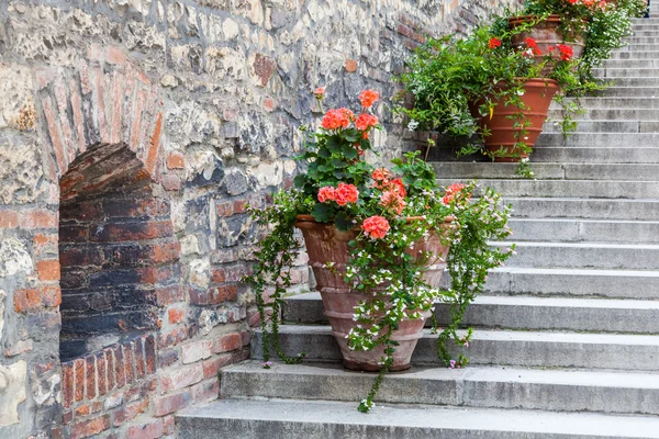Dekorativa blomkrukor på trappan — Stockfoto