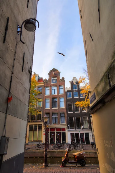 Hollanda, Amsterdam 'ın şehir manzarası — Stok fotoğraf