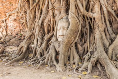 WAT Ratchaburana, harabe tarihi park Ayutthaya, Tayland Budist tapınağı