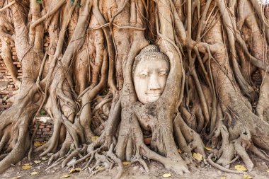 WAT Ratchaburana, harabe tarihi park Ayutthaya, Tayland Budist tapınağı