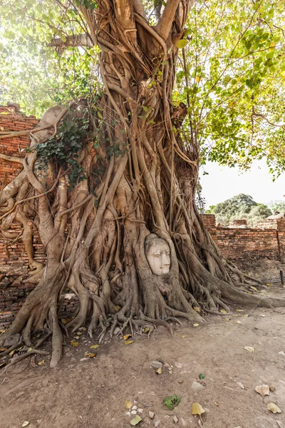 Wat Ratchaburana, ruiny świątyni buddyjskiej w parku zabytkowym Ayutthaya, Tajlandia — Zdjęcie stockowe