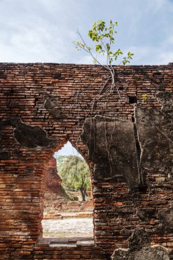 Wat Phra Si Sanphet, Ayutthaya, Tayland için eski bir kraliyet tapınağın harabe