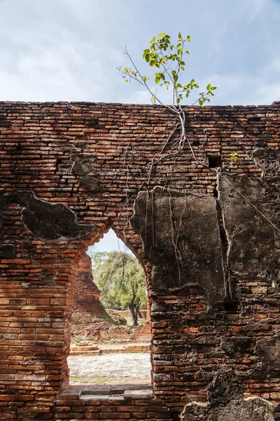 Wat Phra Si Sanphet, ruina de un antiguo templo real en Ayutthaya, Tailandia — Foto de Stock