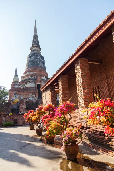 Wat Yai Chai Mongkon em Ayutthaya, Tailândia — Fotografia de Stock